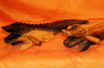 Rhythm Iguana