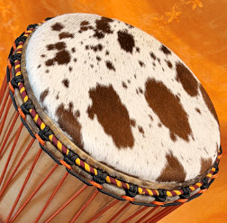 Bougarabou Trommel aus Mali Trommelfell