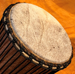Bougarabou Trommel aus Mali Trommelfell