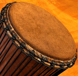 Bougarabou Trommel aus Mali Trommelfell
