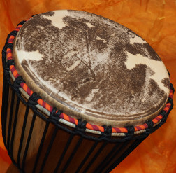Djembe Trommel Fell