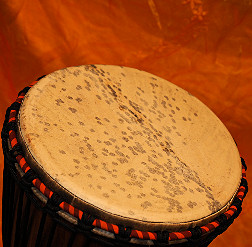 Djembe Trommel Fell