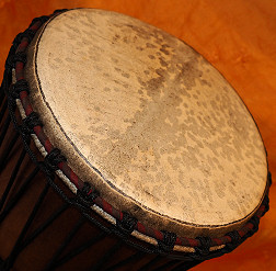 Djembe Trommel Fell