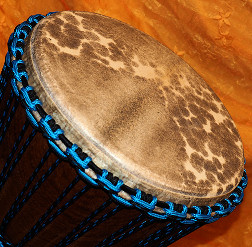 Djembe Trommel Fell