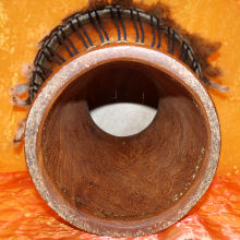 Djembe Trommeln