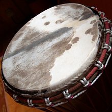 Djembe Trommeln