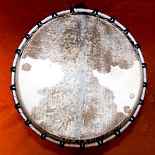 Djembe Trommeln