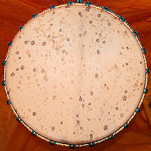 Königsziege / Königsziegenfell / Ziegenfell / Spotted Goatskin
